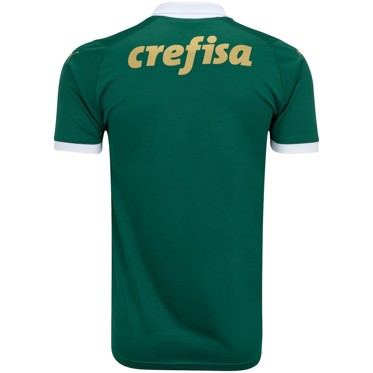 Camisa Oficial Palmeiras Puma Home 2024 Masculina: Celebre 110 Anos de Glória!