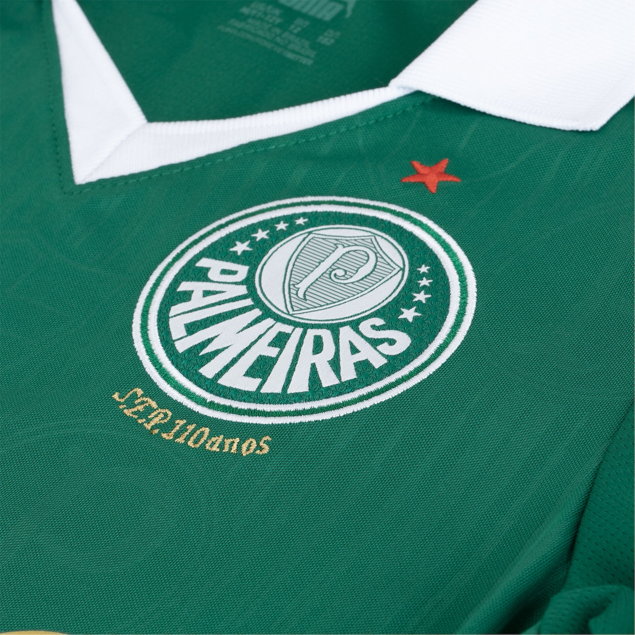 Camisa Oficial Palmeiras Puma Home 2024 Masculina: Celebre 110 Anos de Glória!