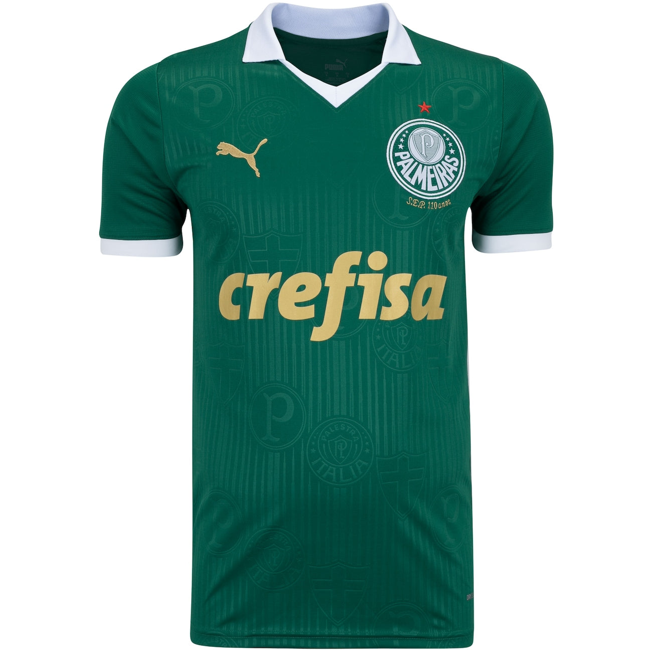 Camisa Oficial Palmeiras Puma Home 2024 Masculina: Celebre 110 Anos de Glória!