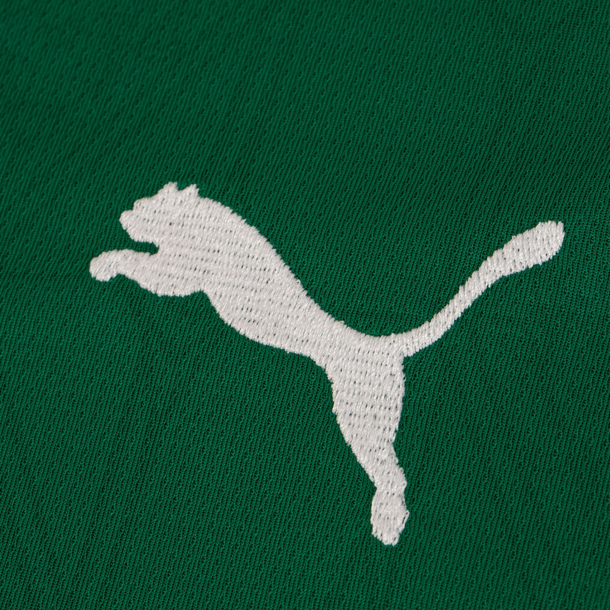 Camisa Oficial Palmeiras Puma 2025 Masculina Torcedor: Leve, Confortável e Autêntica