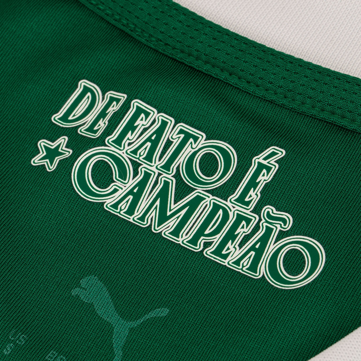 Camisa Oficial Palmeiras Puma 2025 Masculina Torcedor: Leve, Confortável e Autêntica