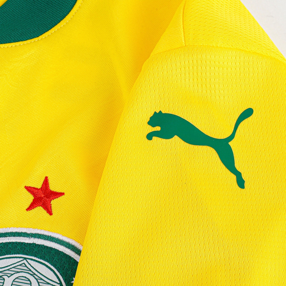 Camisa Oficial Palmeiras III 25/26 Masculina Puma - Edição Torcedor, Conforto e Estilo