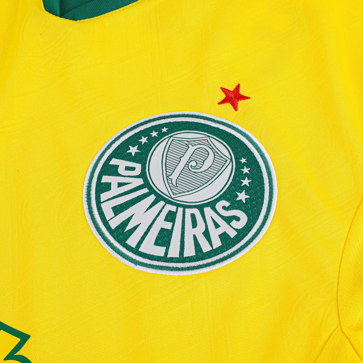 Camisa Oficial Palmeiras III 25/26 Masculina Puma - Edição Torcedor, Conforto e Estilo