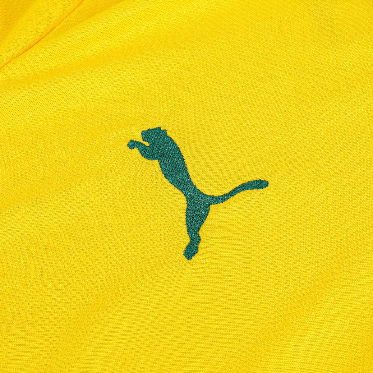 Camisa Oficial Palmeiras III 25/26 Masculina Puma - Edição Torcedor, Conforto e Estilo