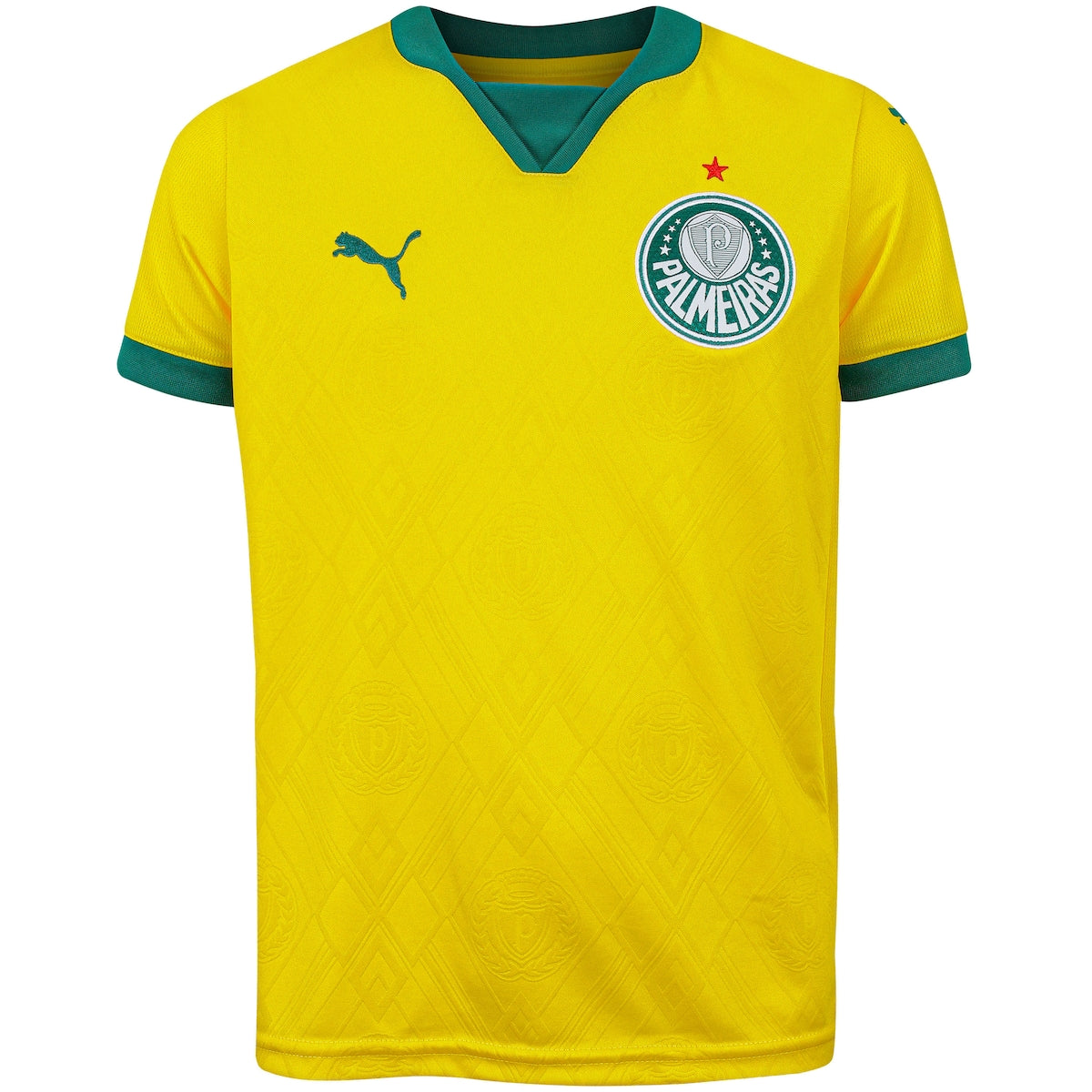 Camisa Oficial Palmeiras III 25/26 Puma Juvenil Dry Cell Conforto Estilo Torcedor