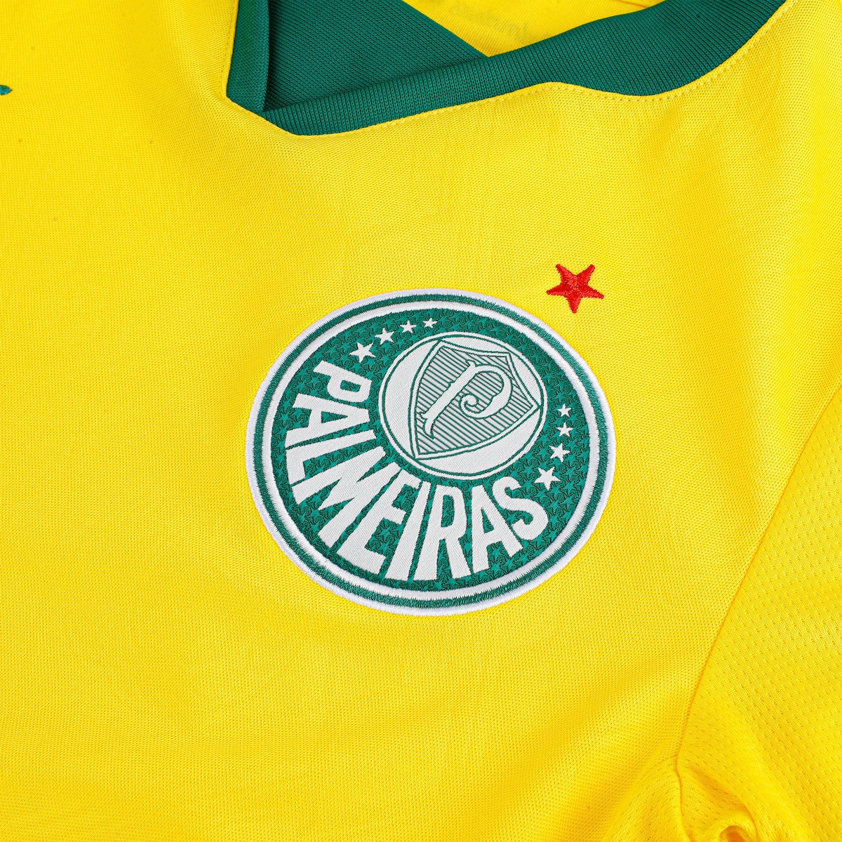 Camisa Oficial Palmeiras III 25/26 Puma Juvenil Dry Cell Conforto Estilo Torcedor