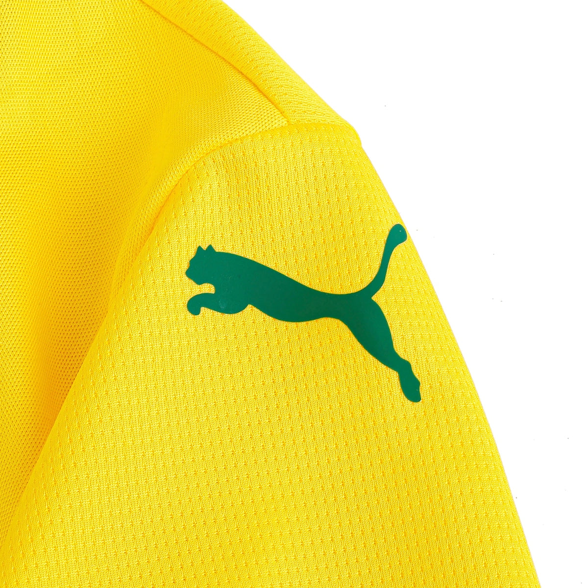 Camisa Oficial Palmeiras III 25/26 Puma Juvenil Dry Cell Conforto Estilo Torcedor