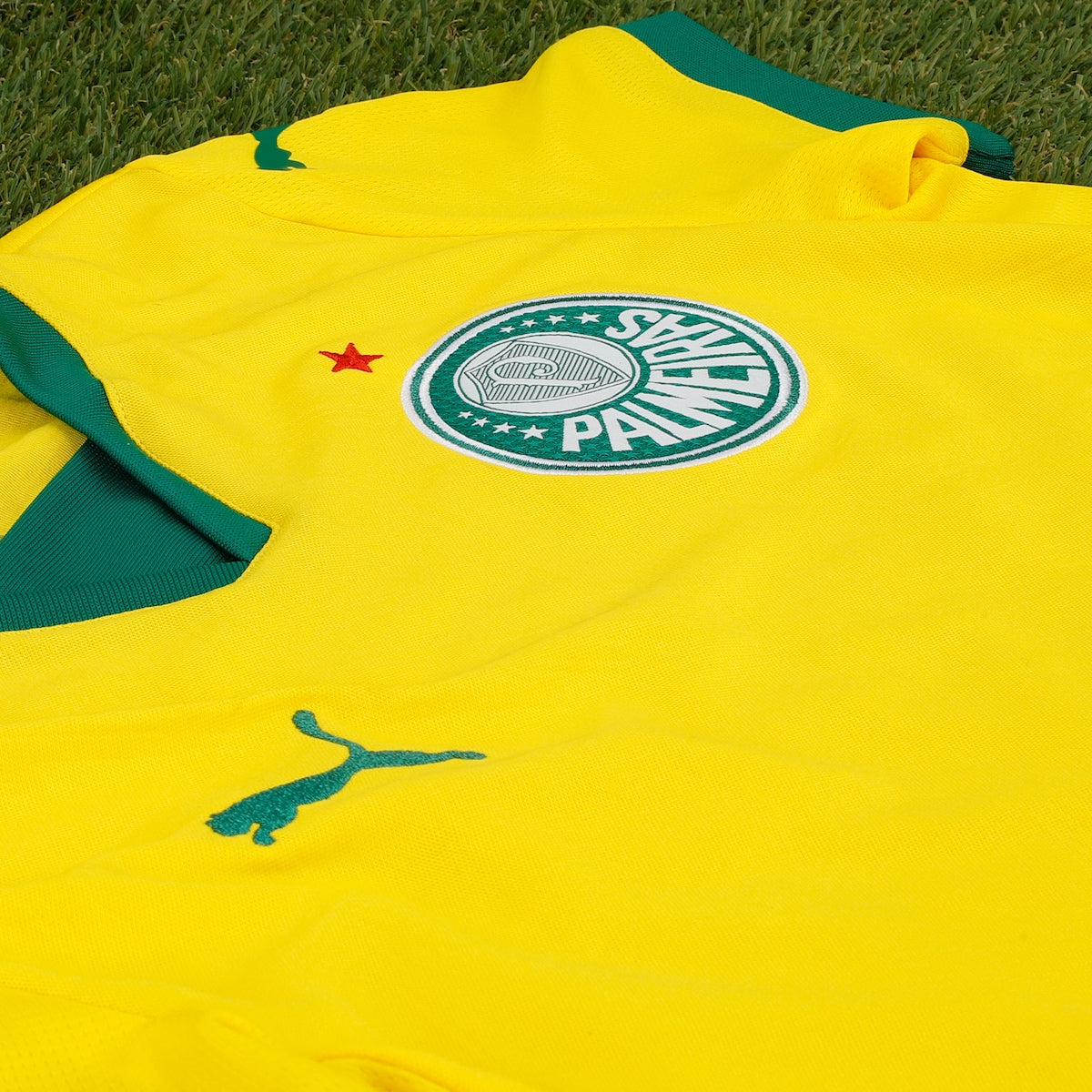 Camisa Oficial Palmeiras III 25/26 Puma Juvenil Dry Cell Conforto Estilo Torcedor